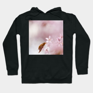 Cherry Blossom Hoodie